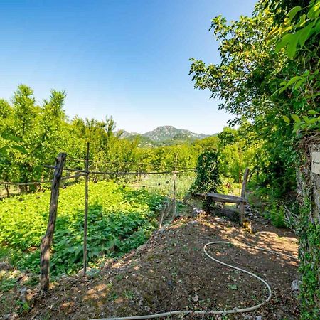 Ethno House Osobak Bed and Breakfast Virpazar Esterno foto