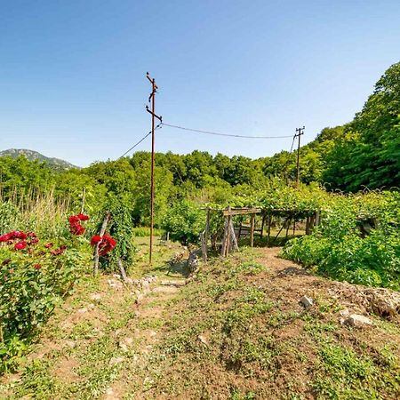 Ethno House Osobak Bed and Breakfast Virpazar Esterno foto