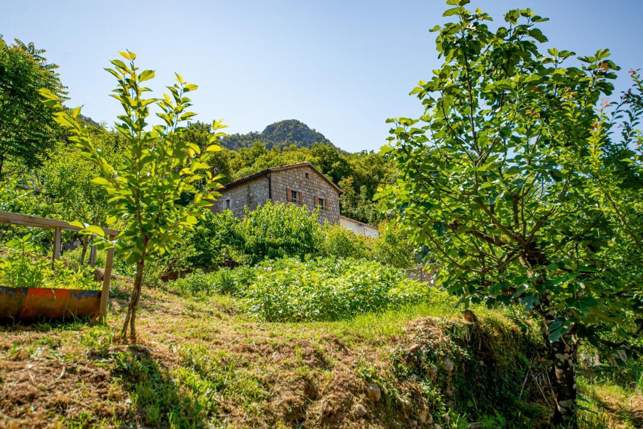 Ethno House Osobak Bed and Breakfast Virpazar Esterno foto