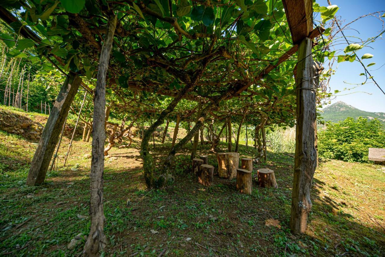 Ethno House Osobak Bed and Breakfast Virpazar Esterno foto