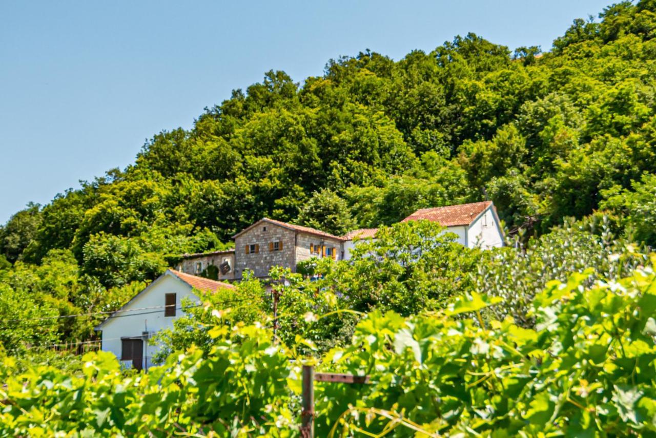 Ethno House Osobak Bed and Breakfast Virpazar Esterno foto