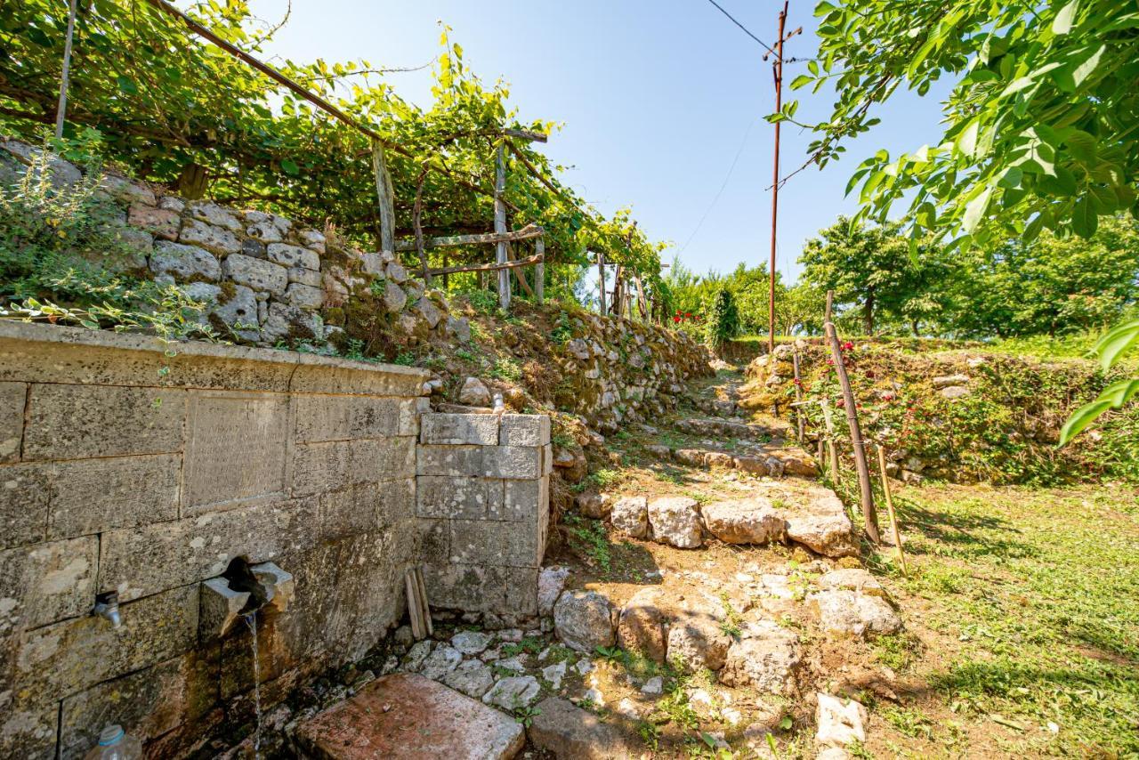 Ethno House Osobak Bed and Breakfast Virpazar Esterno foto