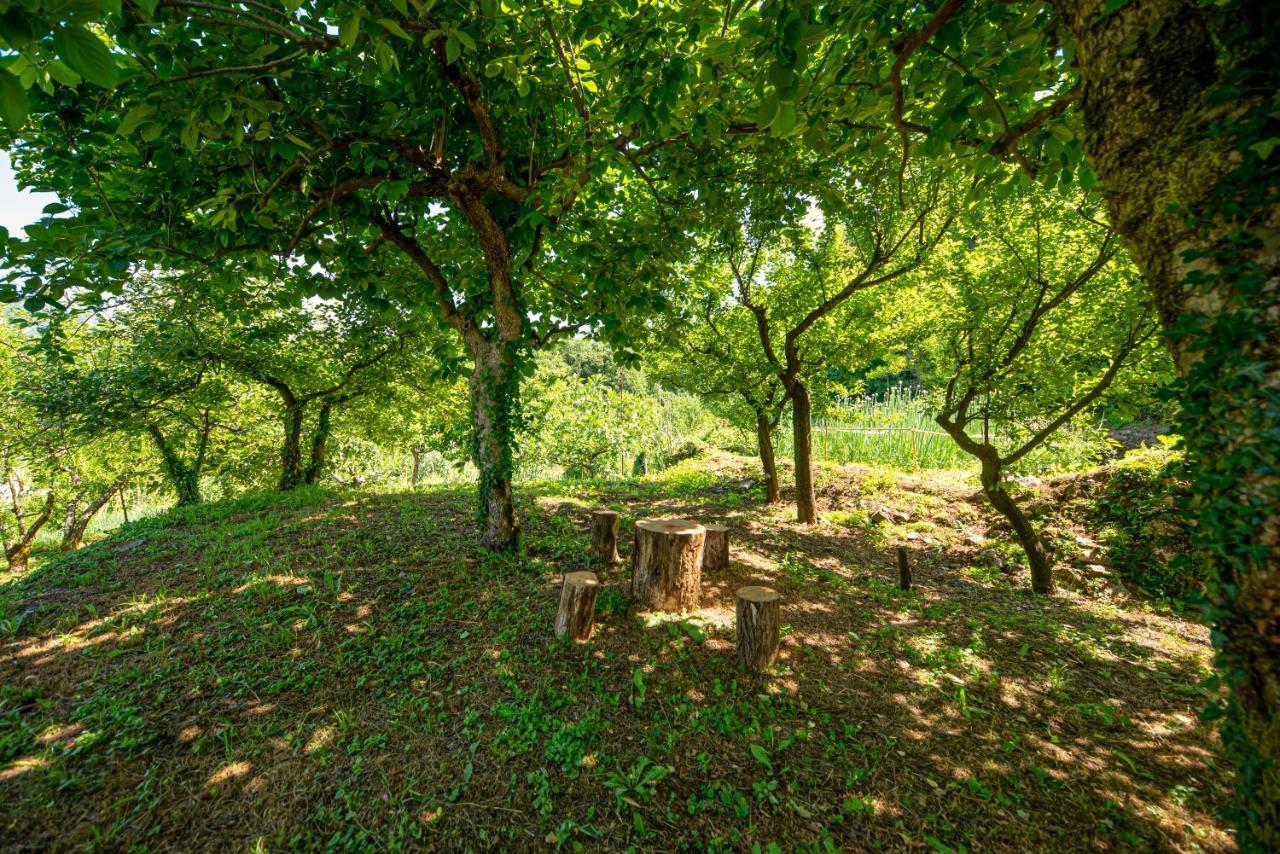 Ethno House Osobak Bed and Breakfast Virpazar Esterno foto