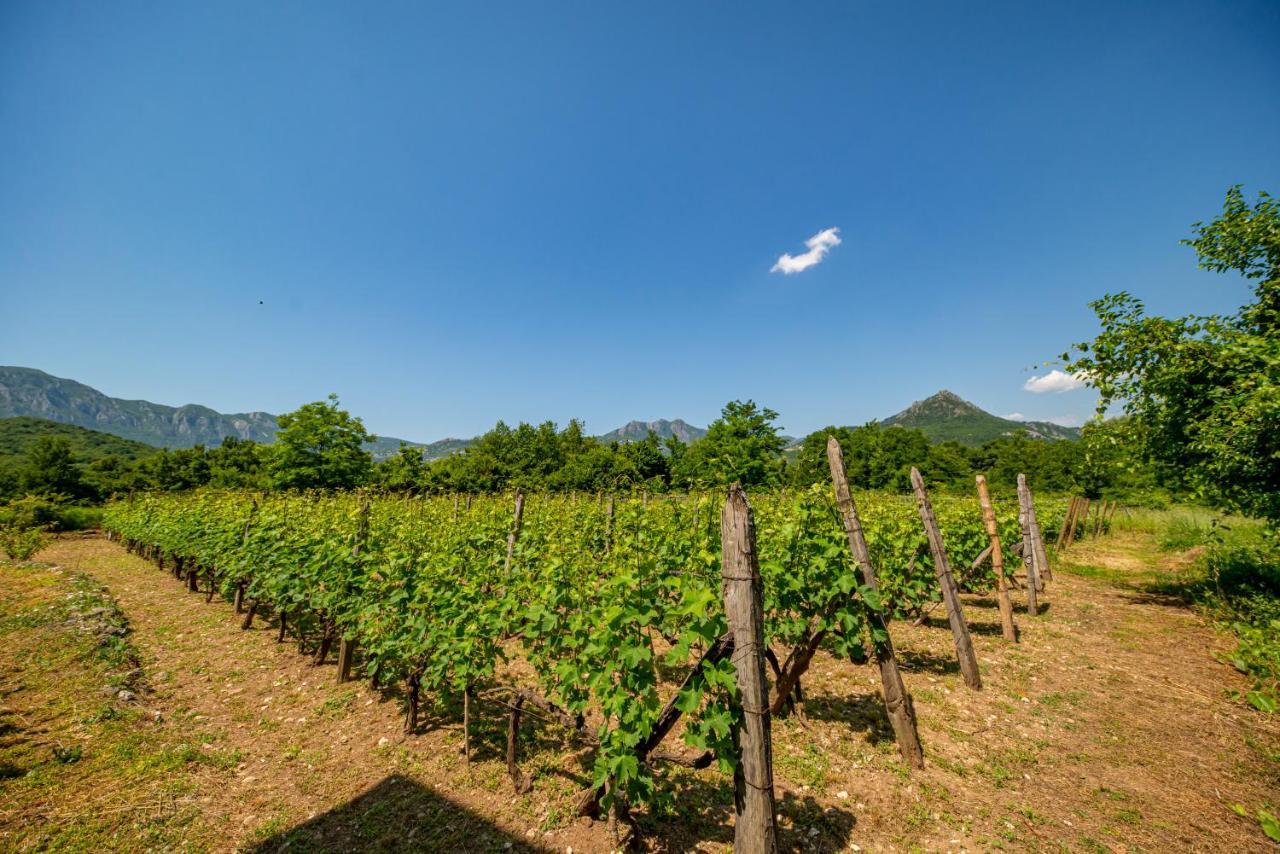 Ethno House Osobak Bed and Breakfast Virpazar Esterno foto