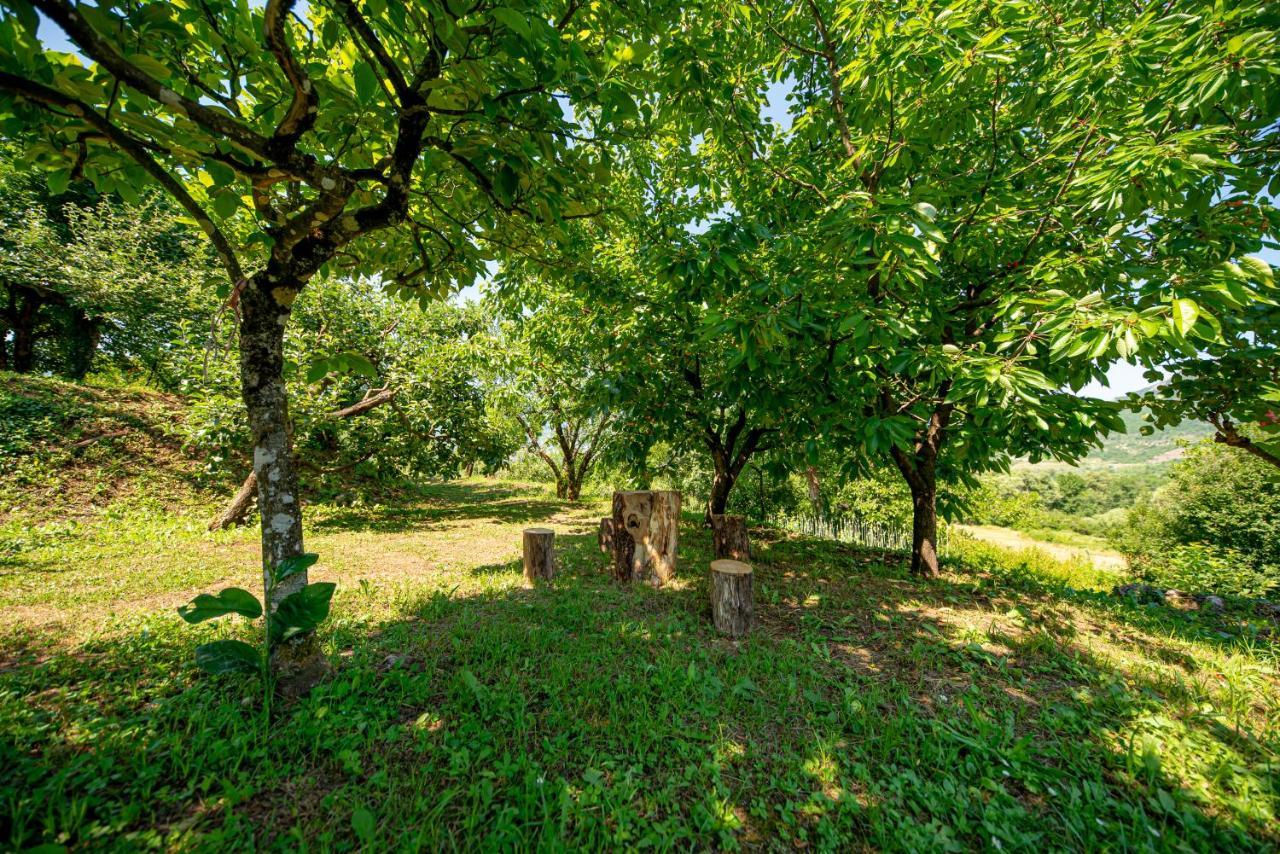 Ethno House Osobak Bed and Breakfast Virpazar Esterno foto