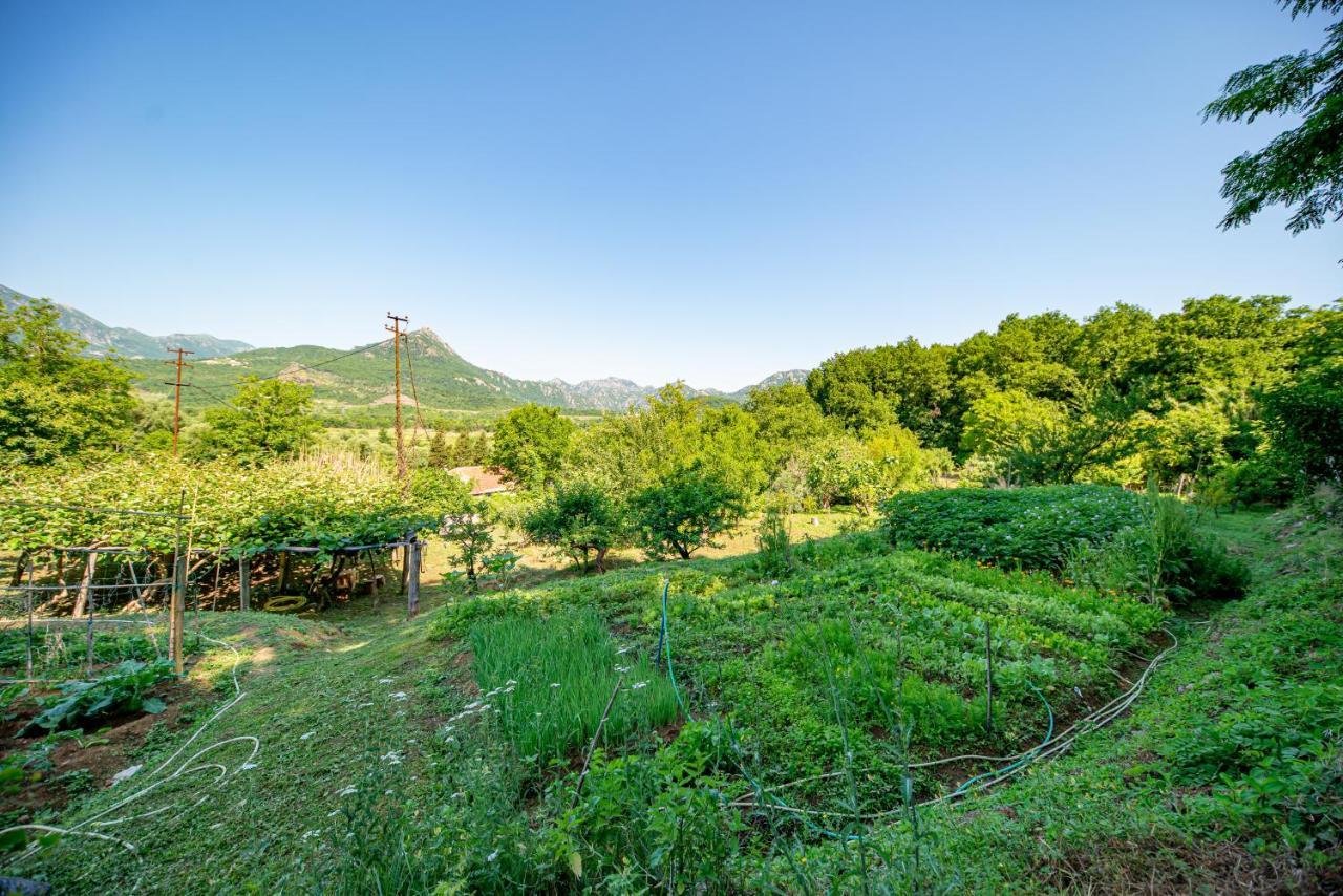 Ethno House Osobak Bed and Breakfast Virpazar Esterno foto