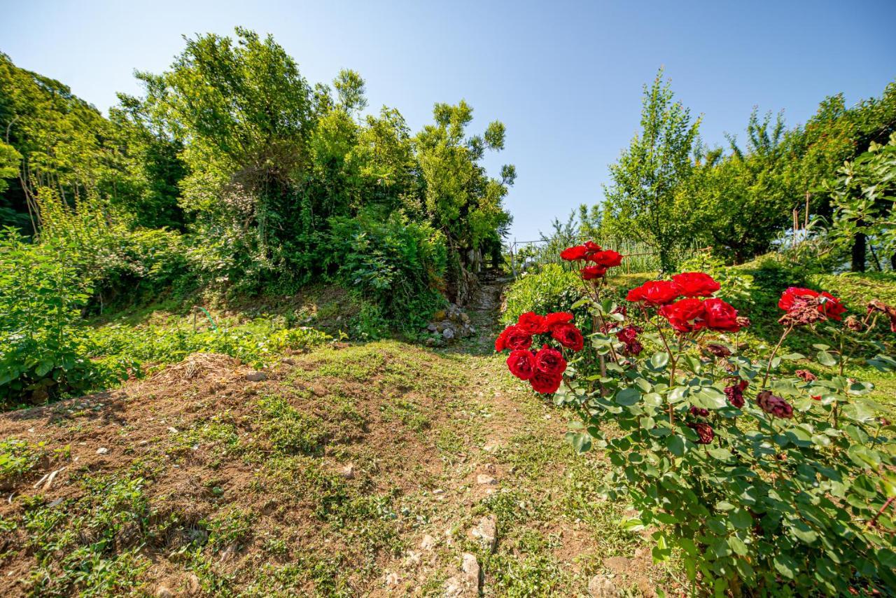 Ethno House Osobak Bed and Breakfast Virpazar Esterno foto