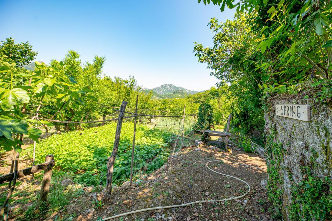 Ethno House Osobak Bed and Breakfast Virpazar Esterno foto