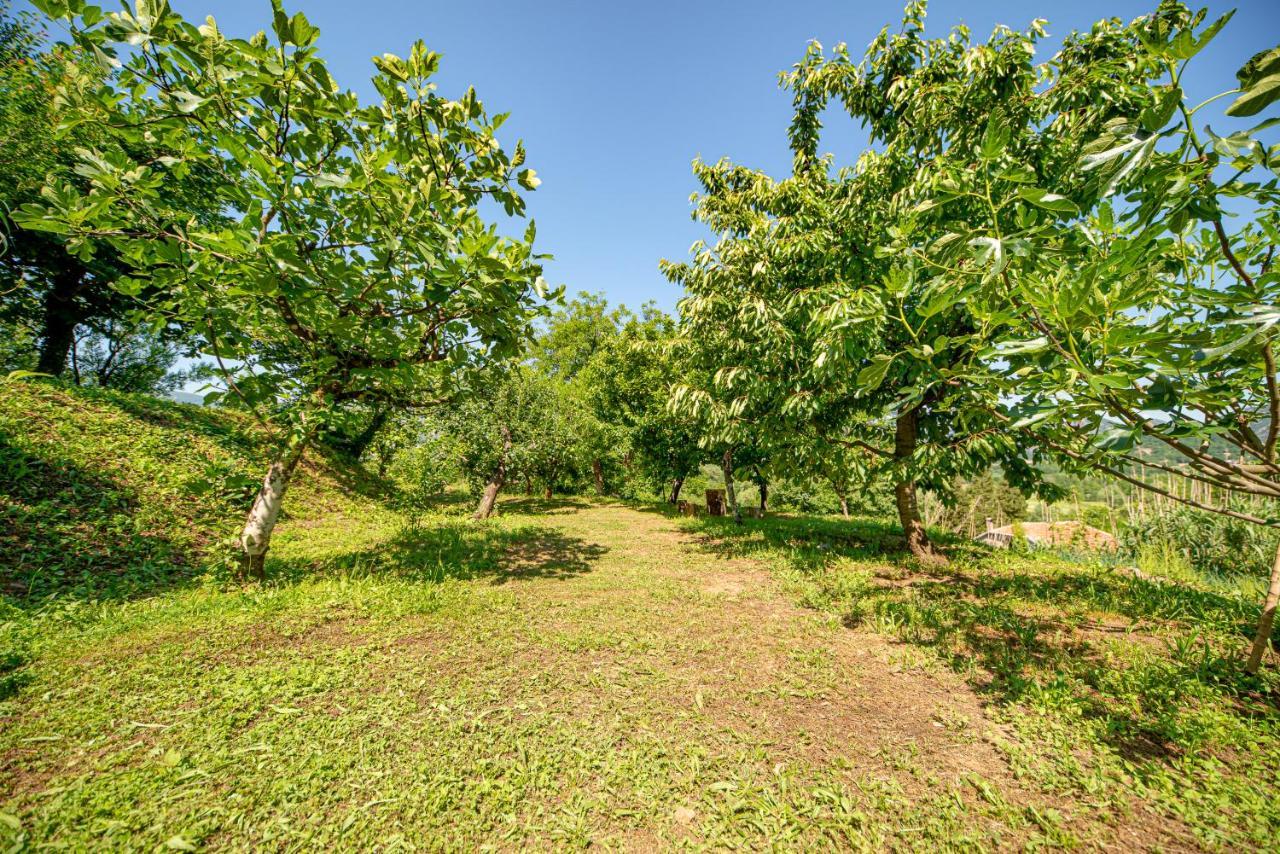 Ethno House Osobak Bed and Breakfast Virpazar Esterno foto