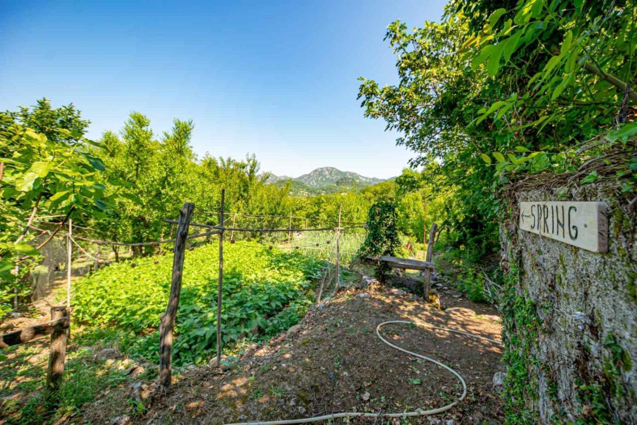 Ethno House Osobak Bed and Breakfast Virpazar Esterno foto