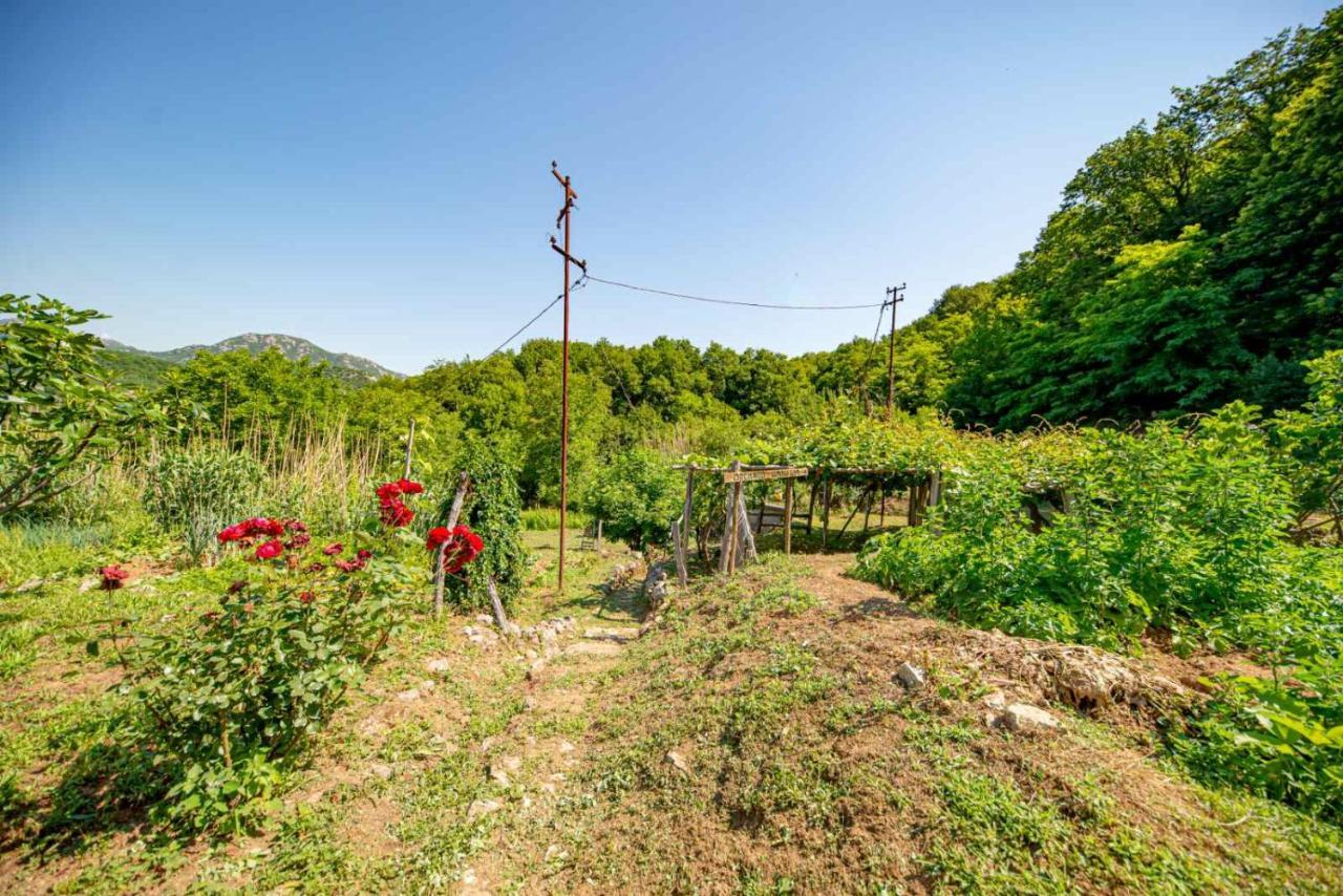 Ethno House Osobak Bed and Breakfast Virpazar Esterno foto